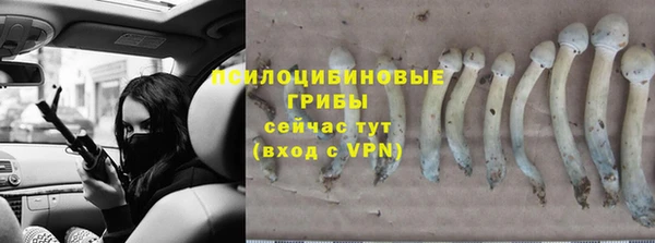 2c-b Заводоуковск